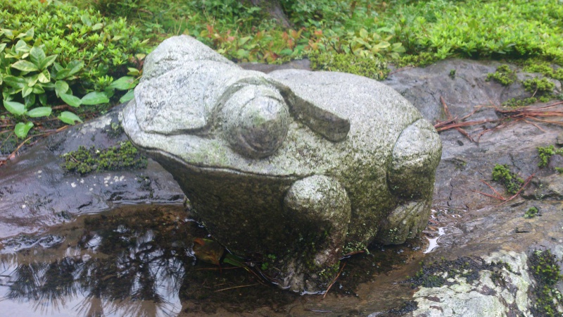 雨…