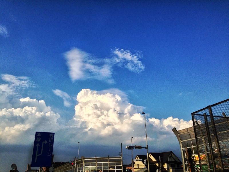 ホントにあっち…