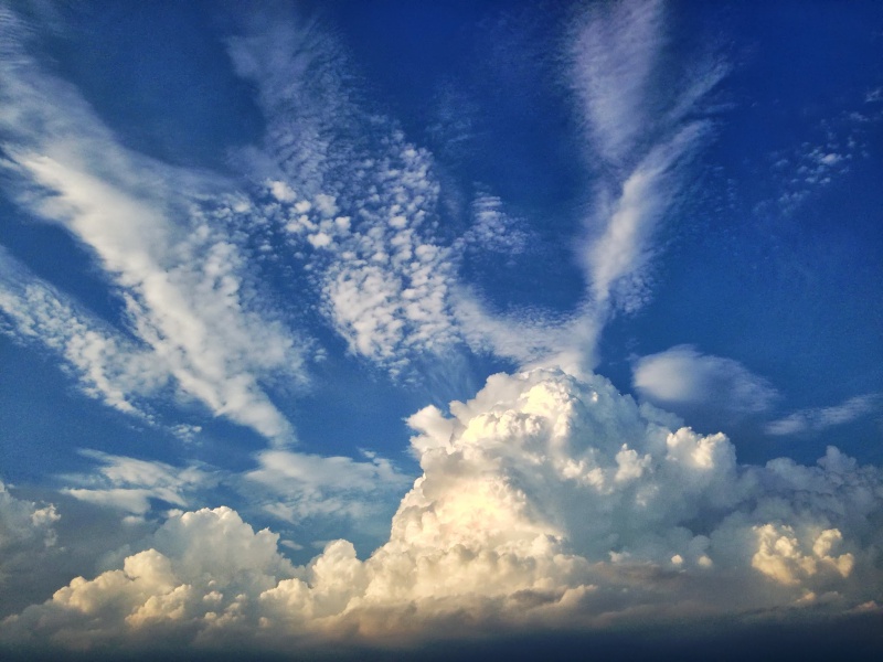 夏な雲を眺めてみる