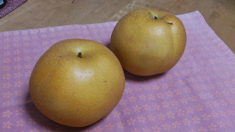 新高梨を食べてみる