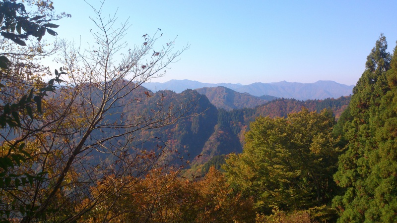 岐阜県の山 舟伏山に登ってみる