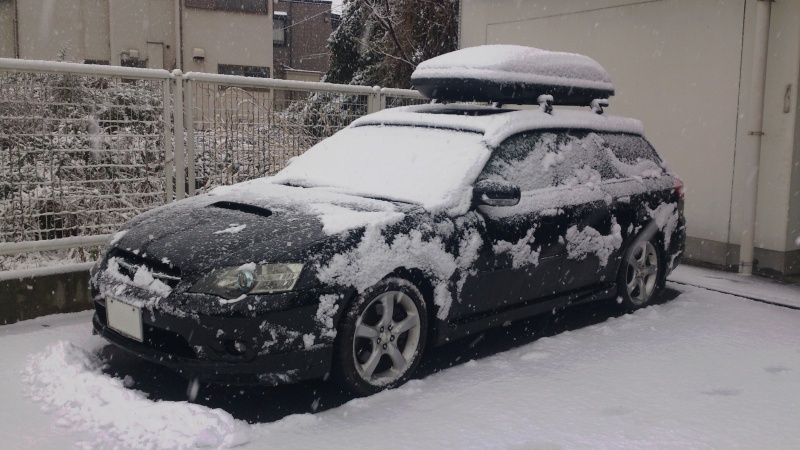 雪がしっとり積もった