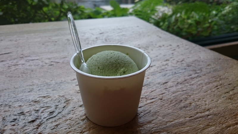 岐阜の道の駅 古今伝授の里やまと でよもぎのアイスクリームを食べてみる