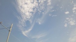 秋晴れ…。