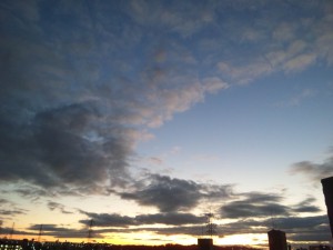 今日もおしまい